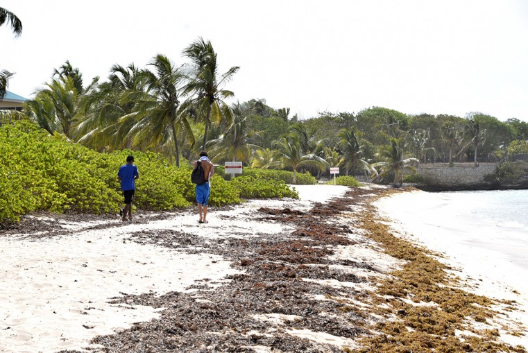 Spotts beach – nearly deserted