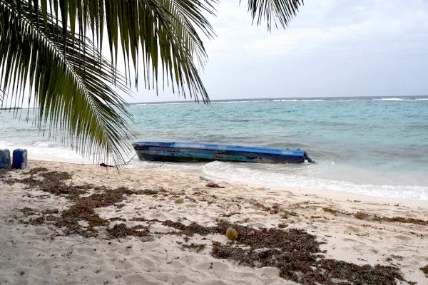 Drug Canoe lands at Spotts Beach