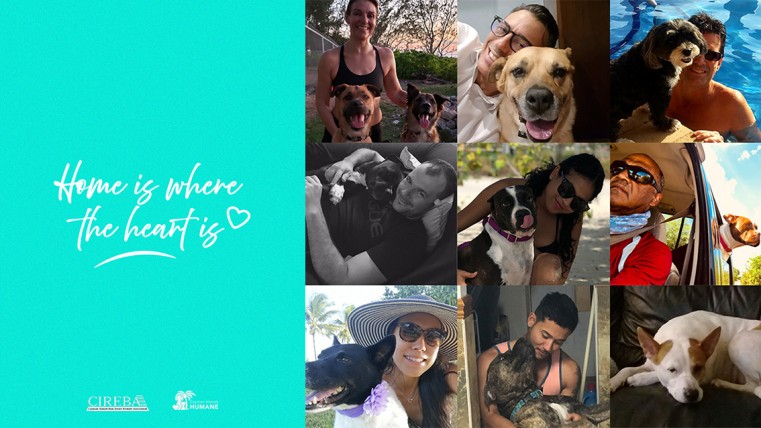 ”Home is Where the Heart is” donates CI$10,000 to the Cayman Islands Humane Society