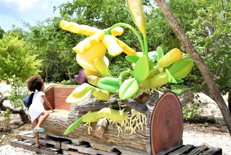 Giant Orchid wonderland - Have you ever wondered what it’s to be a bee?