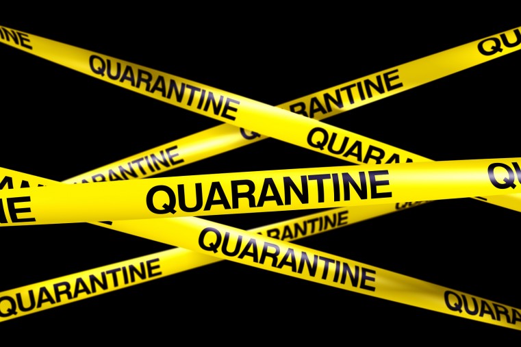 Traveller breaches Quarantine