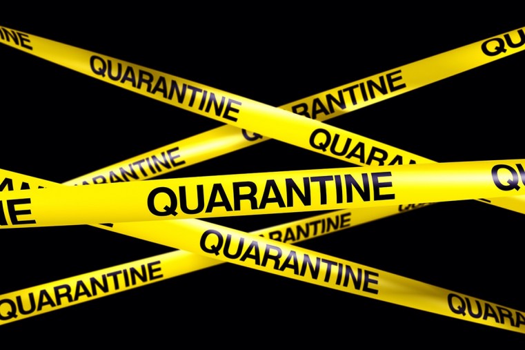 Repeat Breach offender quarantined at home with 24 hour security