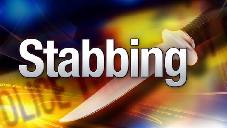 Fatal Stabbing on Canal Point Drive