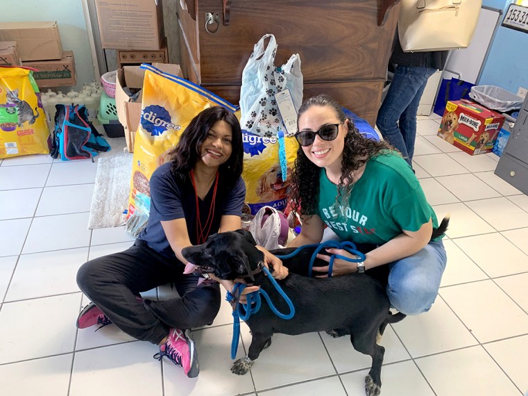 Two playful pups helped the Humane Society receive the PoLA Christmas donations from l-r the Solicitor-General and Chief Officer, Ms Reshma Sharma and Financial Administrator Ms Shemina McLaughlin