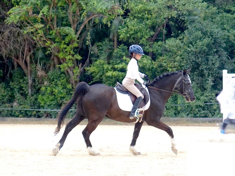 Nadia Thompson Rode Me and My Shadow to wins in the B & C Tests