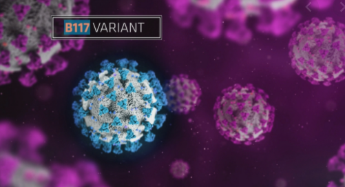 UK COVID VARIANT FOUND IN CAYMAN SAMPLES