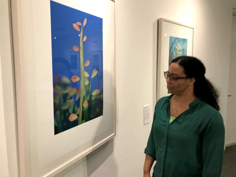 Exhibition showcases Cayman’s natural beauty
