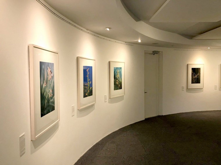 Stunning images at the National Gallery’s new ‘Homegrown’ exhibition