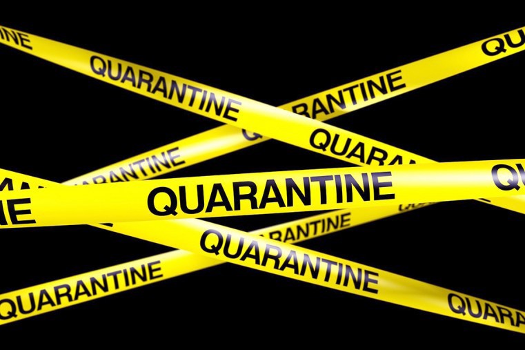 Two Breaches of Quarantine at Residence