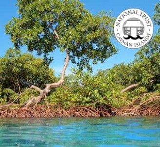 National Trust presses for mangroves protection