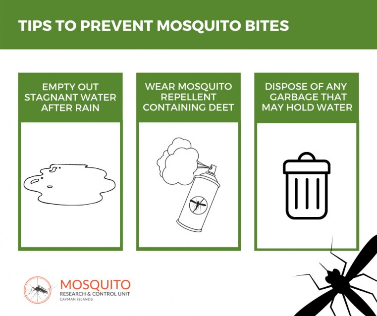 MRCU mosquito bite prevention tip infographic