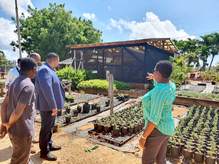 Minister of Planning, Agriculture, Housing and Infrastructure, Hon. Jay Ebanks during a tour of the Department of Agriculture recently