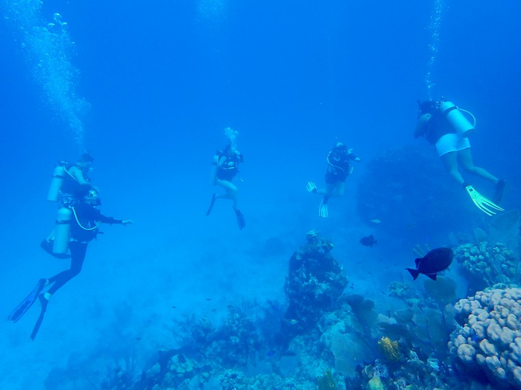 YELC 2020 students on a dive in Little Cayman