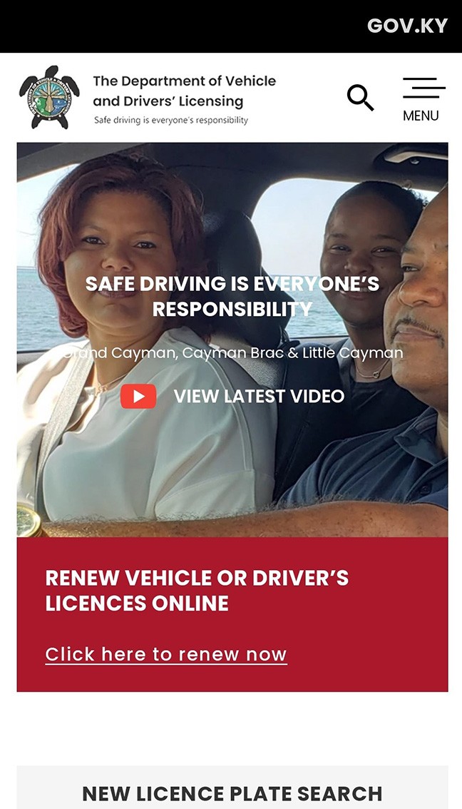 DVDL Launches New and Improved Website