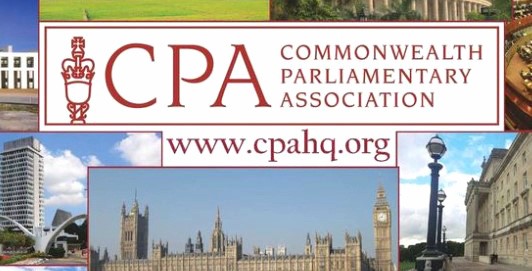 INTERNATIONAL AND LOCAL ELECTION OBSERVERS CITE KEY ISSUES
