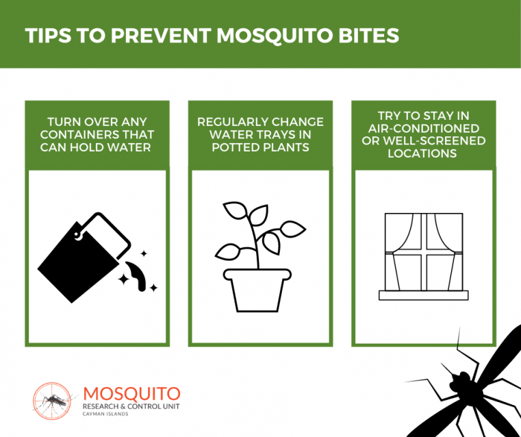 MRCU Offers Mosquito Relief Tips Ahead of Expected Emergence
