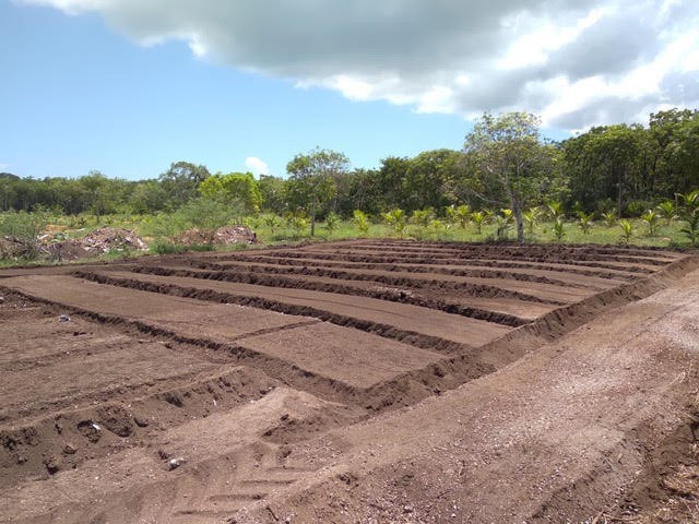 Thick, rich brown soil results, all ready for planting