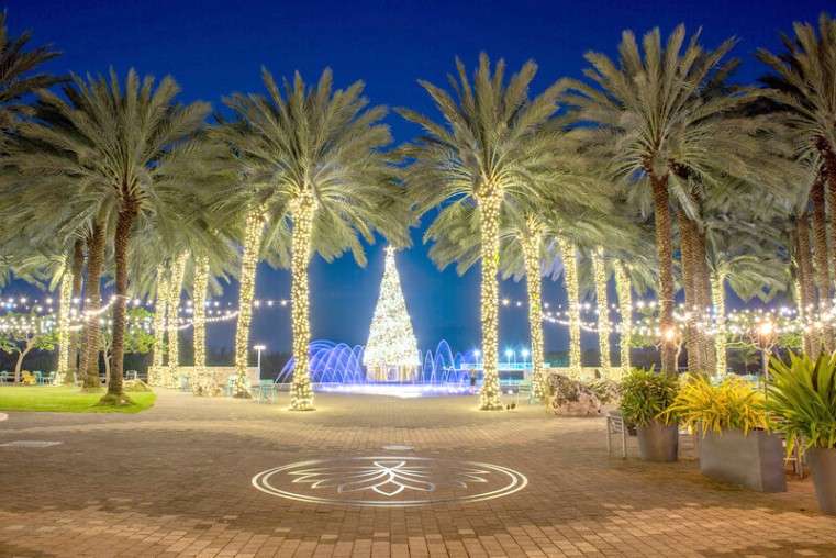 Christmas lit up at Camana Bay