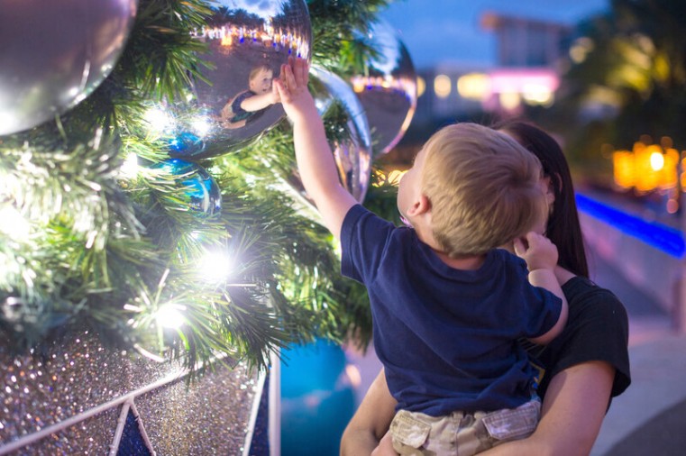 The magic of the tree