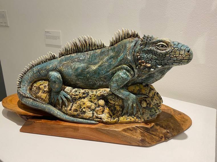 Blue Iguana