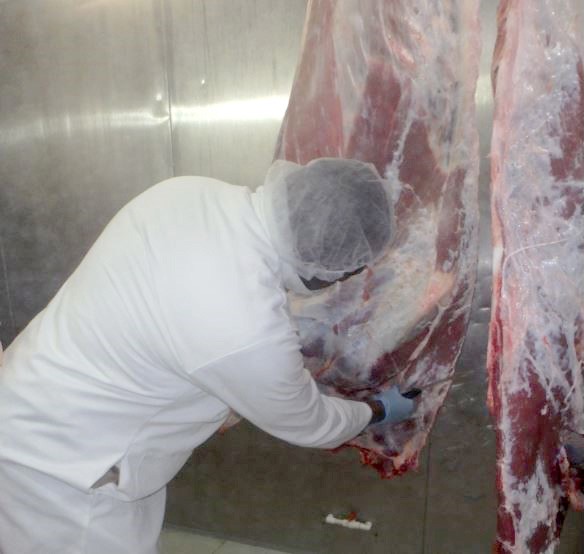Christmas Meat Inspections 2021