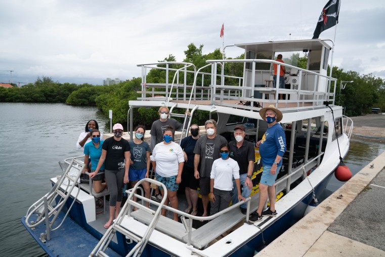 New tagging project to learn more about turtles