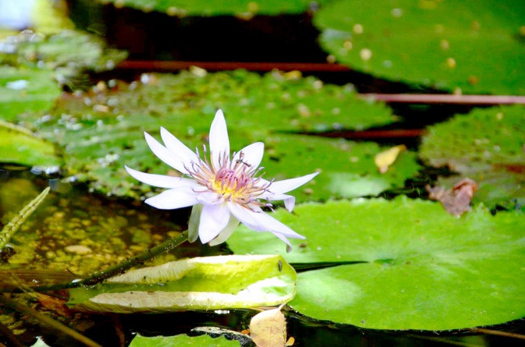 NCC calls for input on new protected areas