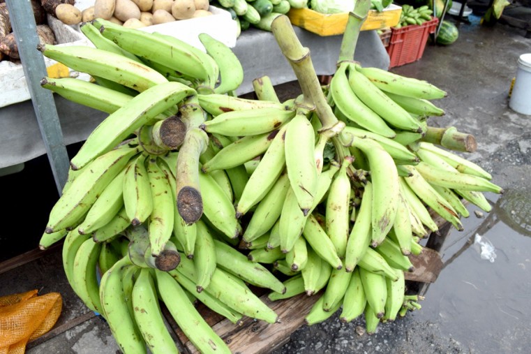 Cayman Broadens List of Agricultural Imports from Jamaica