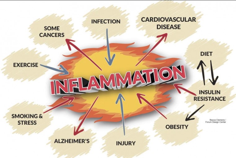 INFLAMMATION