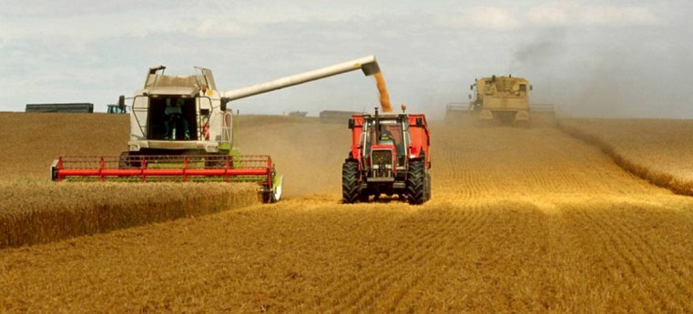 WORLD FOOD PRICES FALL...BUT REMAIN HIGHER THAN LAST YEAR