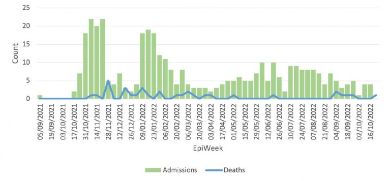 Weekly hospitalisations and deaths (since 8 September 2021*) a First COVID-19 patient was in March 2020, but hospitalisation figures begin September 2021 for graphical reasons.