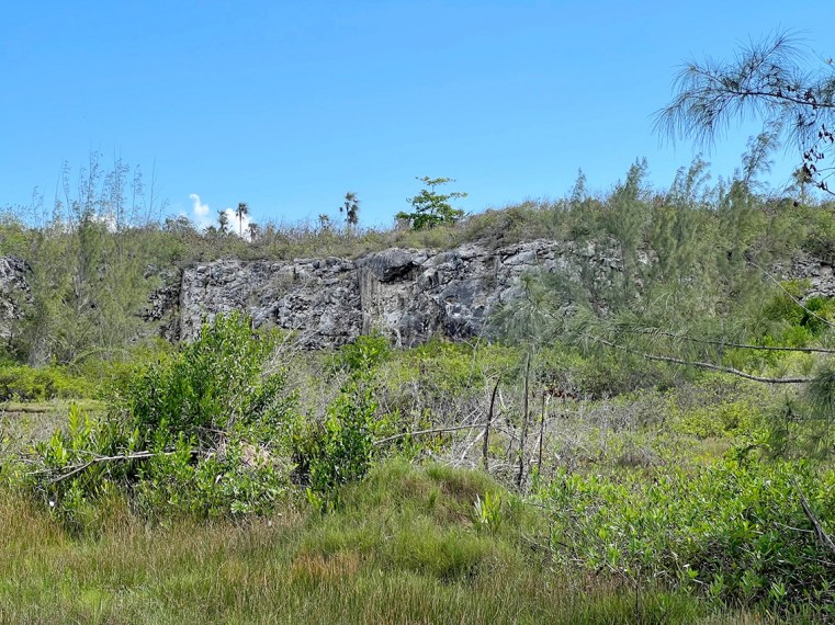 One of the spots of the tour was the Pedro Castle Quarry, where participants examined two geology formations found in the Cayman Islands – the Pedro Castle Formation and Cayman Formation.