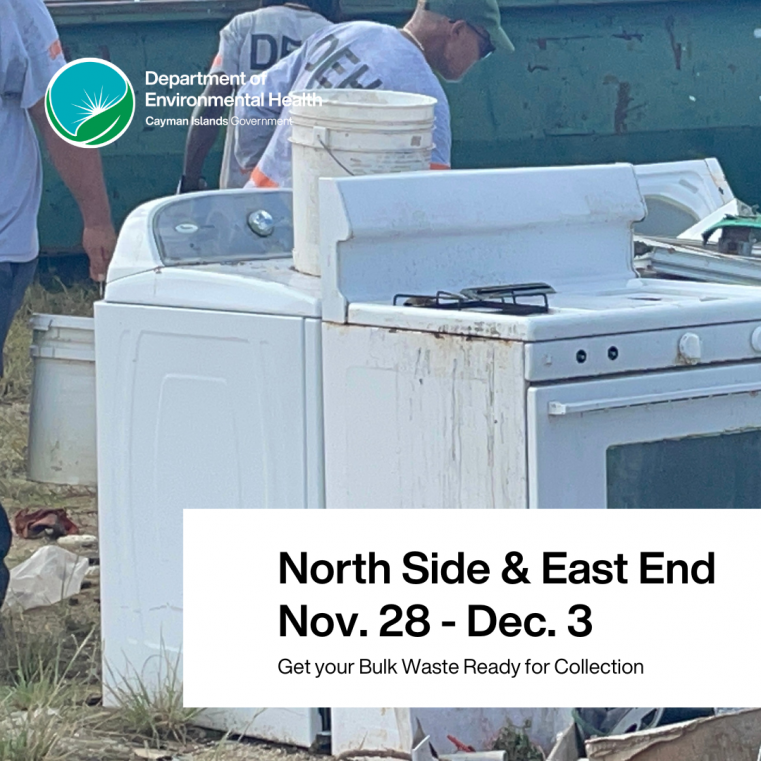 Last week of DEH Bulk Waste Collection