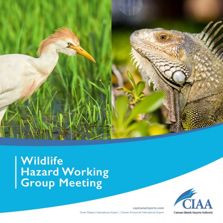 Wildlife Hazard Working Group Meeting –  Owen Roberts International Airport