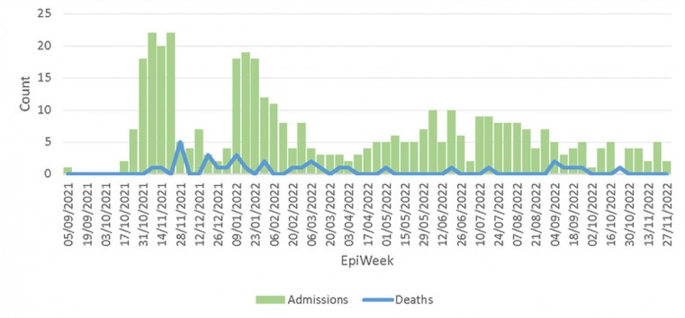 Weekly hospitalisations and deaths (since 8 September 2021*)