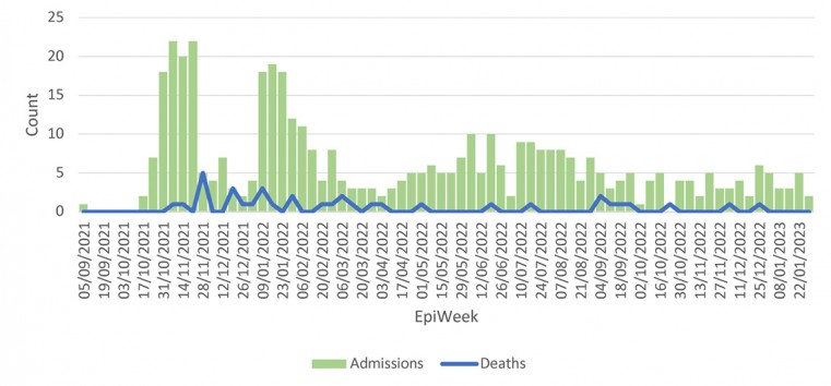 Weekly hospitalisations and deaths (since 8 September 2021*) a First COVID-19 patient was in March 2020, but hospitalisation figures begin September 2021 for graphical reasons.
