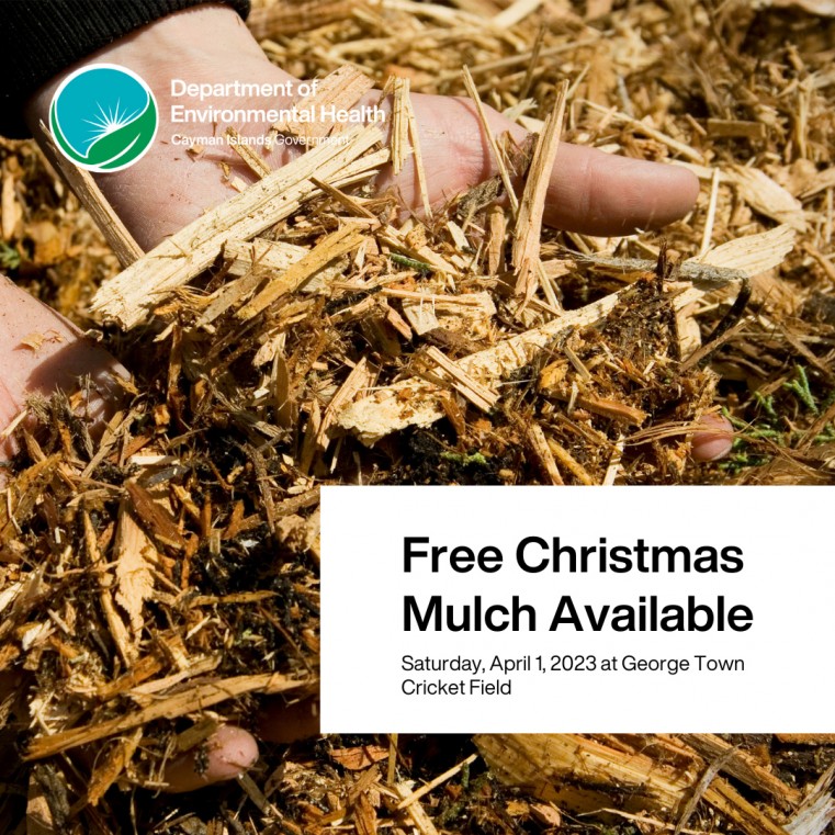 Free Christmas Mulch available