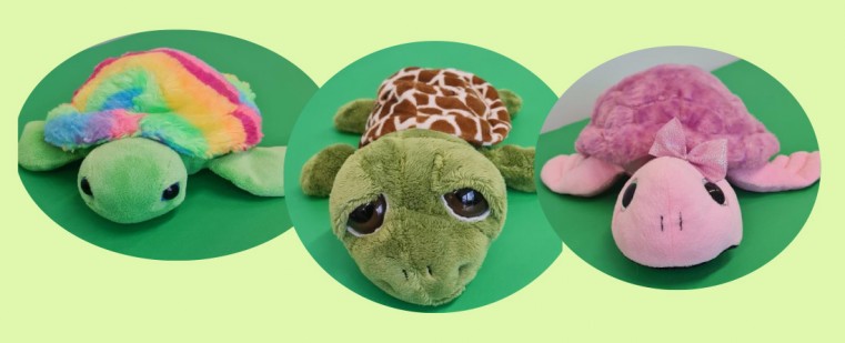 Some of the cuddly turtles at our Photo Booth.
