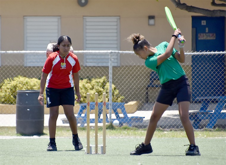 Play heats up in the  2023 Inter-Primary Cricket Competition