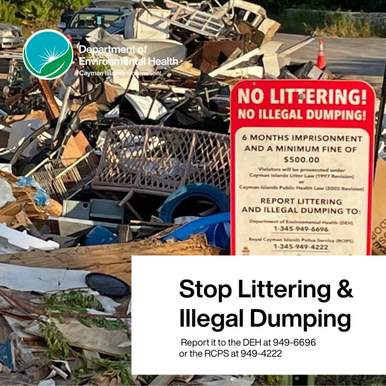 Bulk Waste Collection Ends: 600 tons collected
