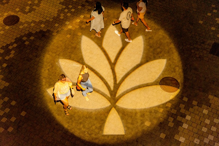 The new Camana Bay blossom illuminated as shoppers walked along the Paseo.
