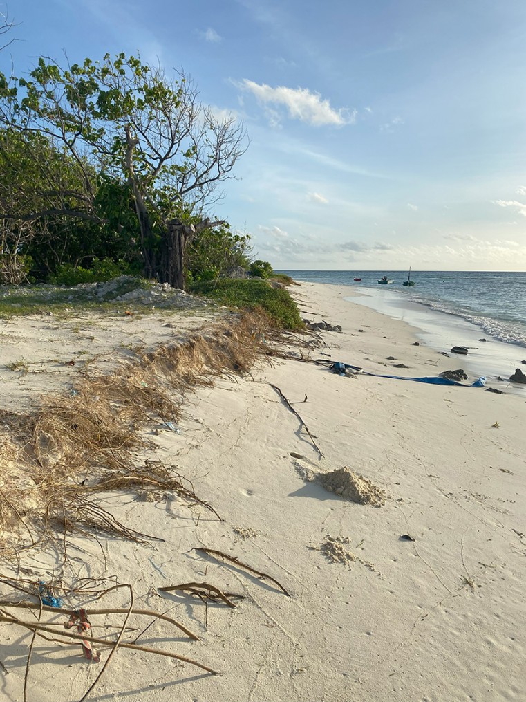 Staying Afloat: rethinking coastal resilience in the era of climate change