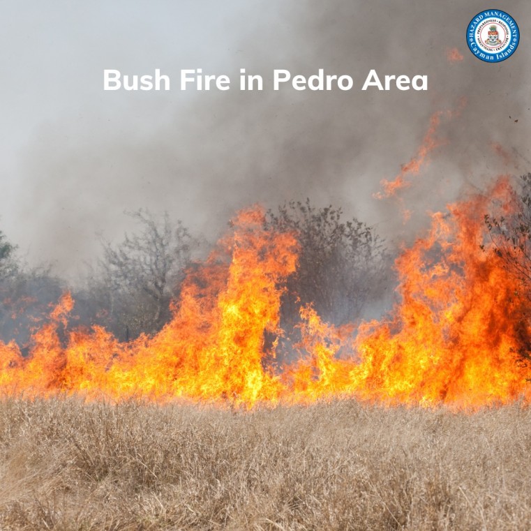 CIFS Brings Fire Under Control