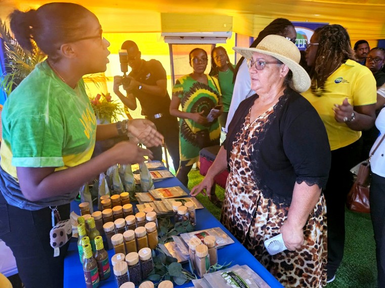Premier O’Connor-Connolly views the various herbs and spices made in Jamaica during a tour of the Tourism Enhancement Fund’s linkages booth at the Denbigh Agricultural, Industrial and Food Show on 6 A
