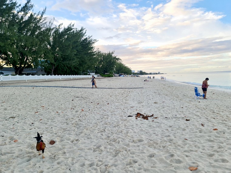 Governors Beach Still Paradise