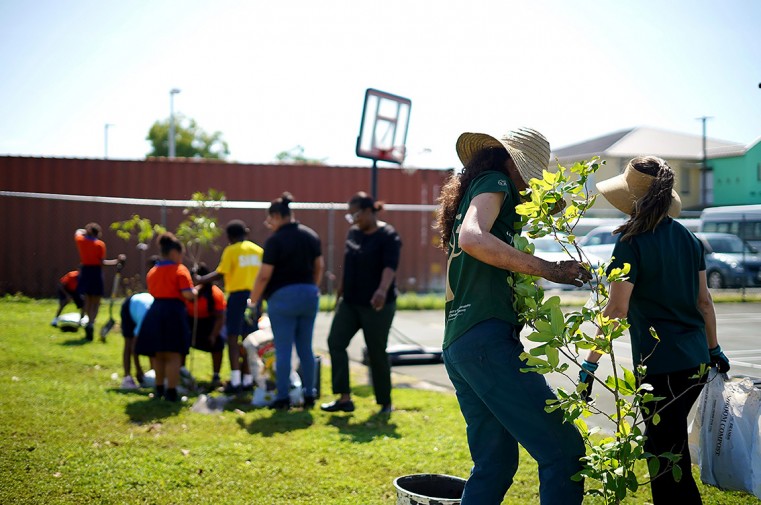 MSCRW Team and students school planting