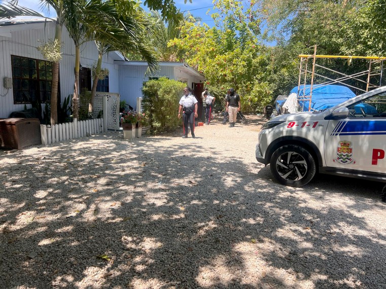 Officers conducting a search