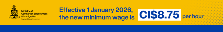 MInimum Wage